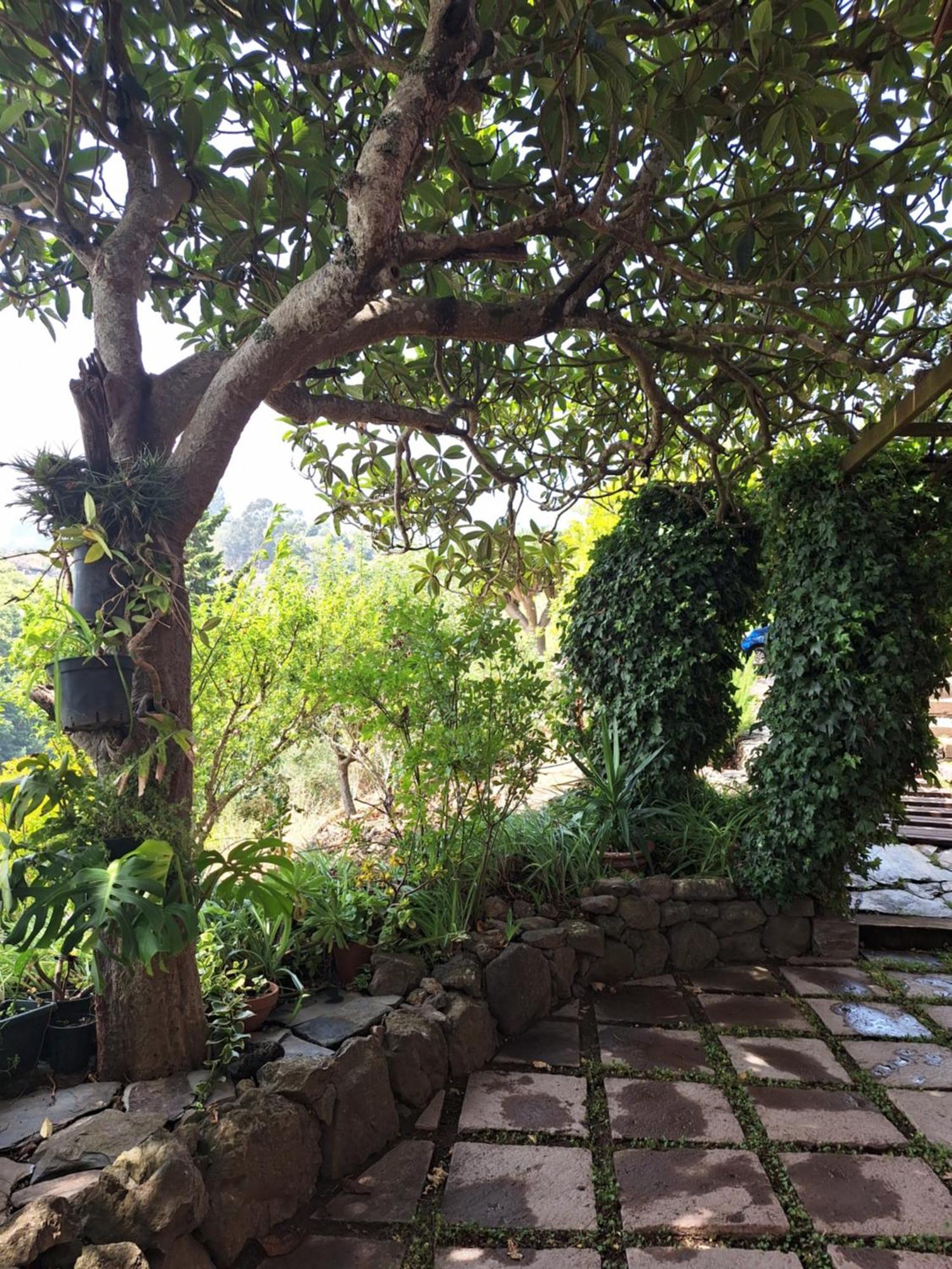Moya  Casa Rural Con Piscina Privada El Roble מראה חיצוני תמונה