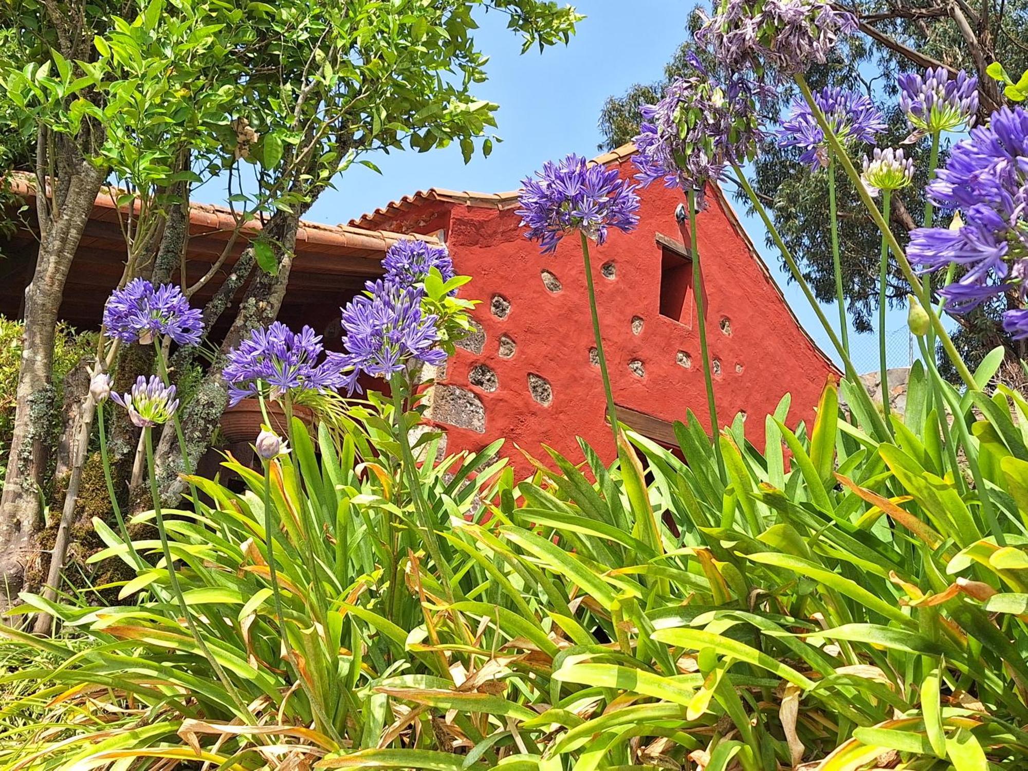 Moya  Casa Rural Con Piscina Privada El Roble מראה חיצוני תמונה