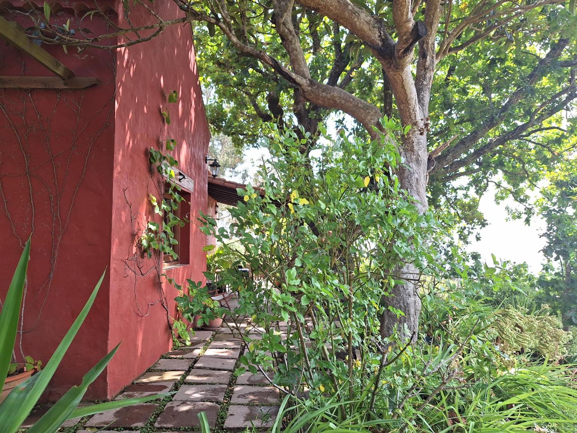 Moya  Casa Rural Con Piscina Privada El Roble מראה חיצוני תמונה